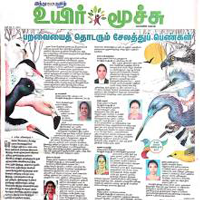 பறவையைத் தொடரும் சேலத்துப் பெண்கள்